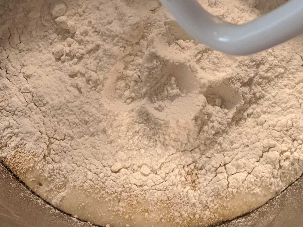 Step 5